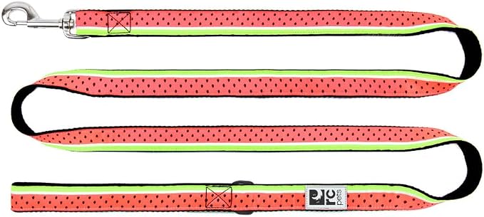 RC Pets 1" x 6 ft Dog Leash, Watermelon