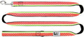 RC Pets 1" x 6 ft Dog Leash, Watermelon