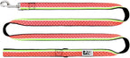 RC Pets 1" x 6 ft Dog Leash, Watermelon