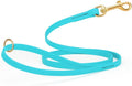 Viper Biothane K9 Working Dog Leash Waterproof Lead for Tracking Training Schutzhund Odor-Proof Long Line with Solid Brass Snap for Puppy Medium and Large Dogs 4ft, Sky Blue