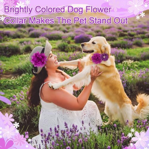 Hoteam 50 Pcs Dog Collar Flowers Bows Accessories, Purple - Image 5
