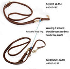 Multi Function 8ft Leather Dog Leash, Genuine Leather Leash Hands Free Dog Training Leashes for Medium and Large Dogs (8 Foot*5/8 inch, Brown)