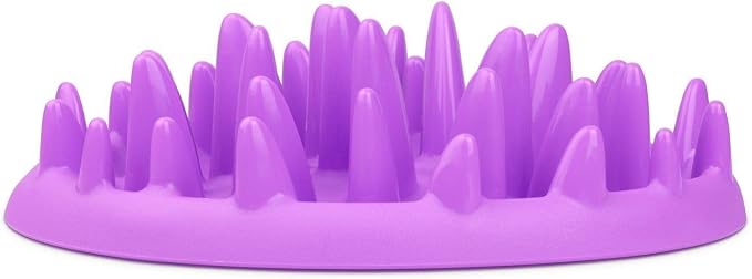 Company of Animals Catch Interactive Cat Slow Feeder | Slow Feeder Cat Bowl, Gobble Stopper, Mental Stimulation Cat Puzzle Game, Suitable for Kittens & Small, Medium & Large Cats