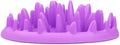 Company of Animals Catch Interactive Cat Slow Feeder | Slow Feeder Cat Bowl, Gobble Stopper, Mental Stimulation Cat Puzzle Game, Suitable for Kittens & Small, Medium & Large Cats