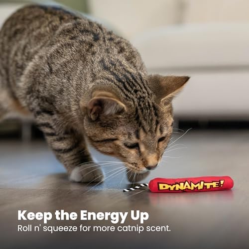 Catstages Green Magic Dynamite Kicker Cat Toy with 100% Catnip, 7" - Image 6