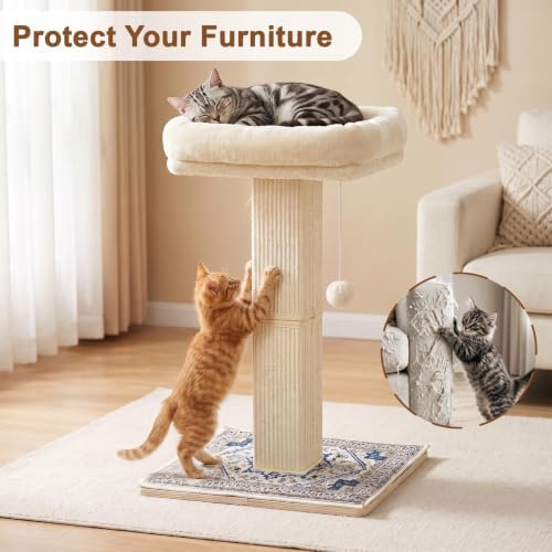 Cat Scratching Post with Bed for Indoor Adult Cats, Cat Perch,White - Image 5