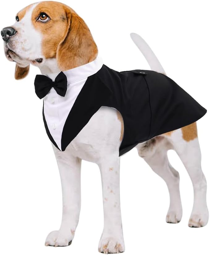 Kuoser Dog Tuxedo, Dog Suit and Bandana Set, Dogs Costume with D-Ring | Formal Dog Outfit with Detachable Bowtie Collar for Wedding, Birthday, Party, Christmas, Halloween, Black M