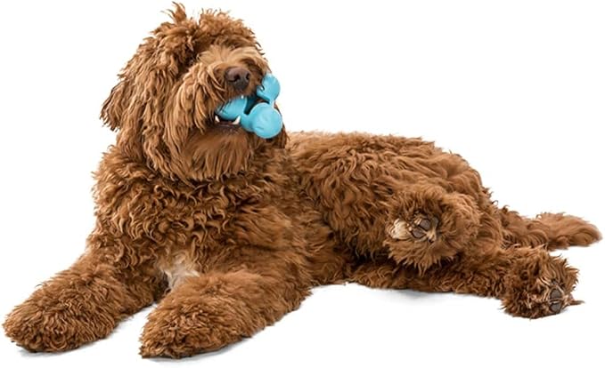 WEST PAW Zogoflex Tux Treat Dispensing Dog Chew Toy – Interactive Chewing Toy for Dogs – Dog Games for Aggressive Chewers, Fetch, Catch – Holds Kibble, Treats, Small 4", Aqua Blue