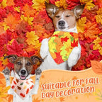 Preboun 50 Pcs Fall Dog Bandanas Bulk, Autumn Pumpkin Maple Leaves Pattern - Image 2