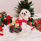 Fitwarm Merry Woofmas 100% Cotton Dog Christmas Outfits Girl Dog Holiday Dress Lightweight Doggie Costume Puppy Clothes Pet Apparel with Bowknot Cat Clothing Red Large - Image 4