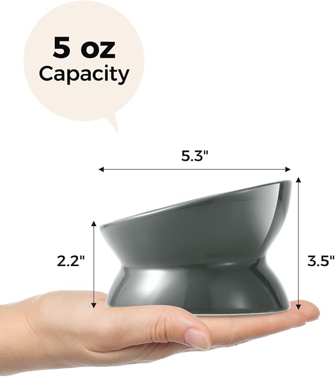 LoeJan Elevated Cat Food Bowl, 5 Oz Ceramic Raised and Tilted Water Bowl, Anti Vomiting and Protect Pets' Spines Dishes for Small Dog, Fat Faced Cat, Kitten (Gray, 1 Pack)