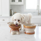 Nihow Dog Food & Water Bowls: Elevated Ceramic Bowls for Medium/Small Dog | Food Safe Raised Puppy Bowls - Brown Pet Bowl for Protecting Pet's Spine (Set of 2)