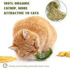 Pawsible 3 Pack Ravioli Catnip Toys for Indoor Cats, Interactive Cat Toys Filled with 100% Organic Catnip, Plush Chew Toys for Kittens, Teething Soft Catnip Toys for Cats - Image 5