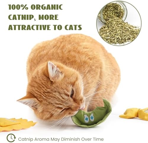 Pawsible 3 Pack Ravioli Catnip Toys for Indoor Cats, Interactive Cat Toys Filled with 100% Organic Catnip, Plush Chew Toys for Kittens, Teething Soft Catnip Toys for Cats - Image 5