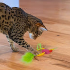 Catstages Dental Pineapple Soothing Coated Catnip Teether Cat Toy, 6.2" - Image 6