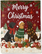 Dog Christmas Decorative Throw Blanket, Adorable Labrador Print Decoration, Soft Flannel Winter Blankets for Couch Bed Sofa, Holiday Home Decor, Xmas Festival Gifts for Puppy Lovers 50x60 Inch by AINORI