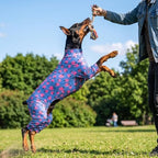 Dog Pajamas for Medium Large Breeds Strawberry Print Costume Dog Pajamas - Image 6