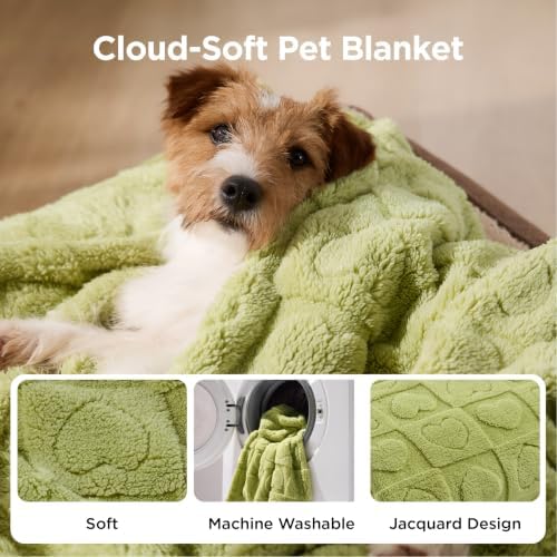 Bedsure Dog Blanket for Small Dogs Puppy and Cats, Soft Fleece, 25x35 Green - Image 2