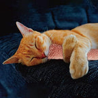 Jumpaws 2 Pack Natural Interactive Catnip & Silvervine Cat Kicker with Tail, Bite Resistant Chew Toy, Crinkle Kicker, Accessories for Indoor Cat, Sherpa Material - Image 6