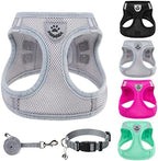 PUPTECK Dog Harness, Collar and Leash Set No Pull for Small Medium Sized by PUPTECK