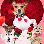 Chunful 150 Pcs Valentine's Dog Bow Ties Collars Bulk Adjustable Cat Dog Collars Bowtie Neckties Basic Puppy Costume for Small Medium Pet Grooming Accessories(Heart) - Image 5
