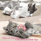 MALLMALL6 Catnip Toys for Cat - 5Pcs Valentines Chocolate Truffles Catmint Interactive Teething Chew Kick Cat Toy for Indoor Kitten, Soft Candy Pet Supplies, Pet Valentines Gifts for Kitten Lover - Image 5