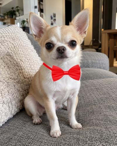 PET SHOW 30 Pack Small Dog Bowties Bulk Solid Colors - Image 5