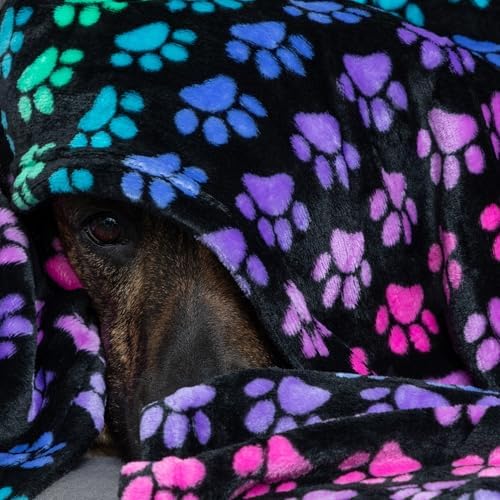 Pet Dog Cat Blanket Ultra Soft Cozy Fleece Paw Print Design Machine Washable Durable for Crates Beds Sofas Travel (Rainbow Paws, Medium) - Image 3