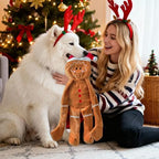 No Stuffing Squeaky Christmas Dog Toys with Crinkle Paper, 21”Cute Christmas Gingerbread Man Gift Dog Plush Toys Chew Toys,Durable Interactive Dog Toys for Large Medium Small Breed, - Image 5