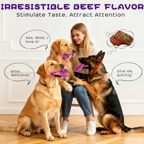 WinTour Tough Dog Chew Toys for Aggressive Chewers, Nylon Durable Dog Toys - Image 4