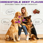 WinTour Tough Dog Chew Toys for Aggressive Chewers, Nylon Durable Dog Toys - Image 4
