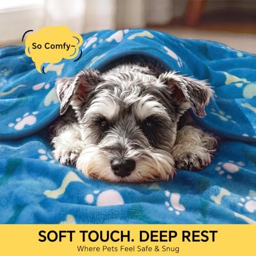 Luciphia 3 Pack Cute Dog Blankets Soft Fleece for Small Puppy Cat,30"x20" - Image 2