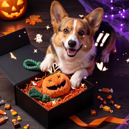 Halloween Fall Pumpkin Squeaky Tug Rope Dog Toys for Small & Medium Dogs - Image 5