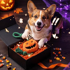 Halloween Fall Pumpkin Squeaky Tug Rope Dog Toys for Small & Medium Dogs - Image 5