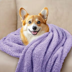 Luciphia 3 Pack Soft Sherpa Fleece Blankets for Dogs Cats Puppies,41"x31" - Image 3