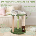 Woochpet Small Cat Tower with Cat Scratching Post,Short Cat Tree for Kitten - Image 4