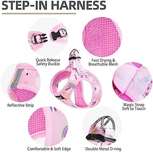 PUPTECK Dog Harness, Collar and Leash Set No Pull for Small Medium Sized - Image 2