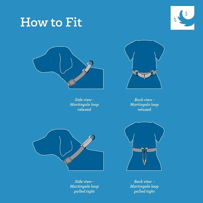 RC Pets All Webbing Training Collar M Gemstone