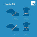 RC Pets All Webbing Training Collar L Gemstone