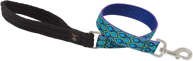 LupinePet Originals 1" Rain Song 2-Foot Traffic Lead/Leash for Medium and Larger Dogs