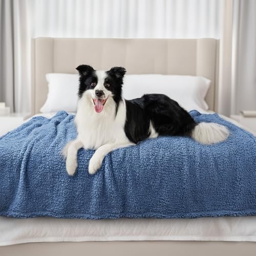Luciphia Ultra Soft Sherpa Fleece Dog Puppy Cat Blanket for Small Pets by luciphia