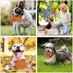 BWOGUE Thanksgiving Turkey Dog Toy, Durable Squeaky Plush Dog Toys, Stuffed Pet Chew Toys Thanksgiving Interactive Pet Toys for Puppy Small Medium Dogs - Image 7