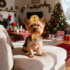 120PCS Christmas Dog Bows Bulk 20PCS Bowties with Adjustable Collar 40PCS Hair Bows 60PCS Flowers and Bowties Attachments for Girl Female Boy Male Dogs Grooming Accessories - Image 6