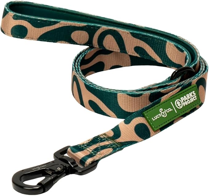 Lucy & Co. x Parks Project Geyser Dog Leash, Durable Matching Dog Lead with Heavy Duty Hardware, Large
