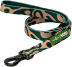 Lucy & Co. x Parks Project Geyser Dog Leash, Durable Matching Dog Lead with Heavy Duty Hardware, Large