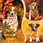 Preboun 50 Pcs Fall Dog Bandanas Bulk, Autumn Pumpkin Maple Leaves Pattern - Image 4