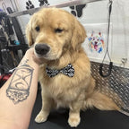 Paw Print Dog Bow Ties Bulk for Large Dogs 30 Pack 5.1"*3.1" L - Image 4