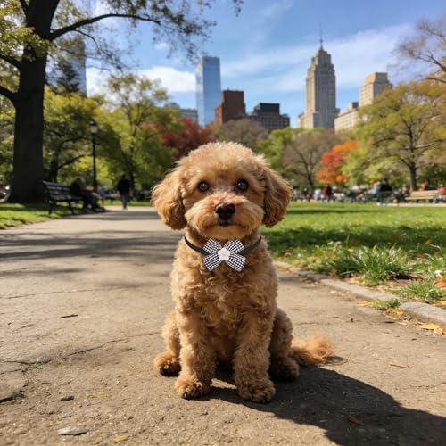 PET SHOW 50 Pack Small Dog Bow Ties Collar Bulk Puppy Cats Boy Girl Bowties Adjustable Neckties Pet Grooming Accessories Assorted Randomly(Daily Style) - Image 7