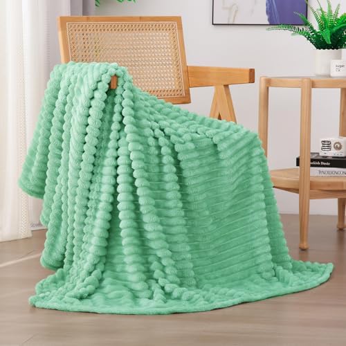 Mint Green Fleece Throw Blanket 60”×80” for Couch Sofa Livingroom by linecooo