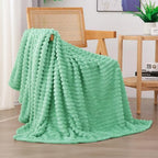 Mint Green Fleece Throw Blanket 50”×60” for Couch Sofa Livingroom by linecooo